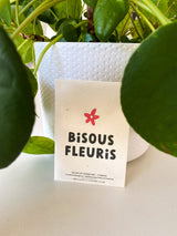 Sachet de graines -Bisous Fleuris