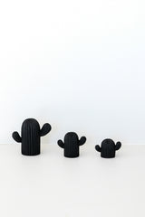 Trio de cactus