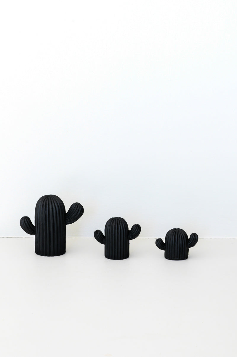 Trio de cactus