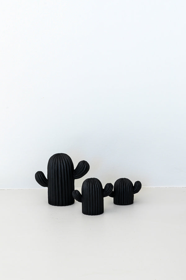 Trio de cactus